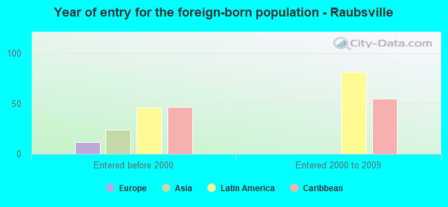 Year of entry for the foreign-born population - Raubsville
