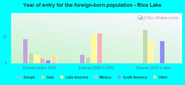 Year of entry for the foreign-born population - Rice Lake