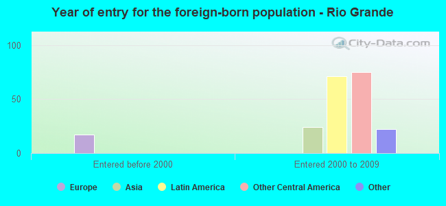 Year of entry for the foreign-born population - Rio Grande