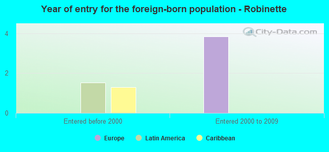 Year of entry for the foreign-born population - Robinette