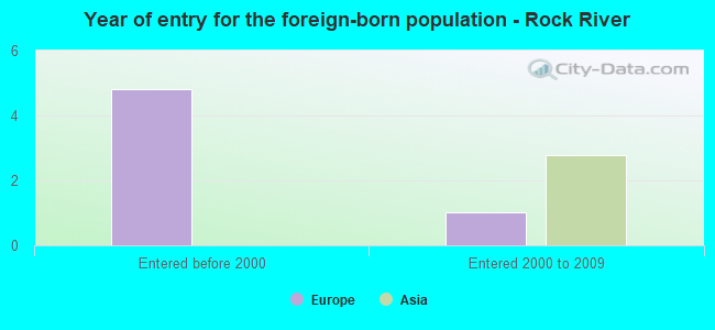 Year of entry for the foreign-born population - Rock River