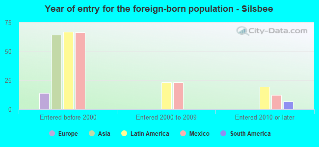 Year of entry for the foreign-born population - Silsbee