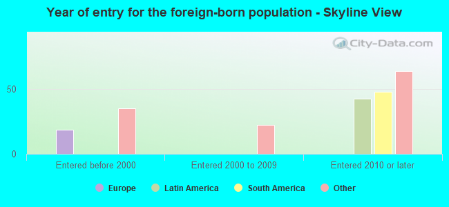 Year of entry for the foreign-born population - Skyline View
