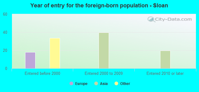 Year of entry for the foreign-born population - Sloan