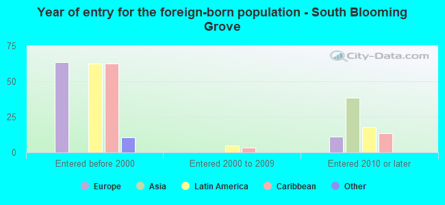 Year of entry for the foreign-born population - South Blooming Grove