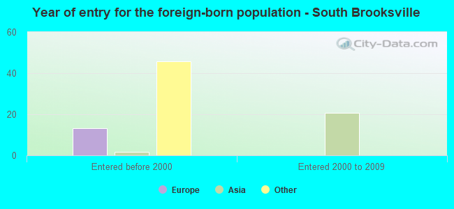 Year of entry for the foreign-born population - South Brooksville
