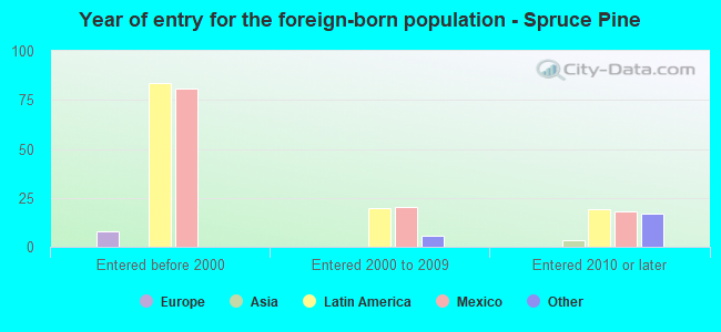 Year of entry for the foreign-born population - Spruce Pine