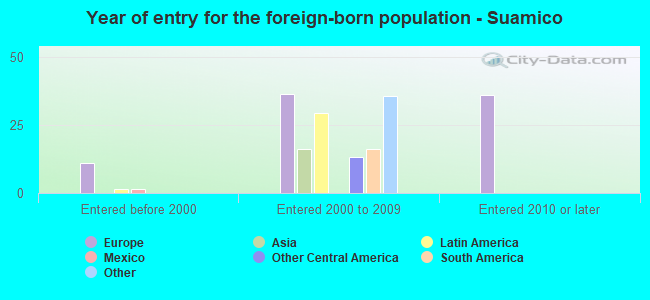 Year of entry for the foreign-born population - Suamico