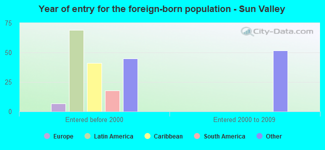 Year of entry for the foreign-born population - Sun Valley