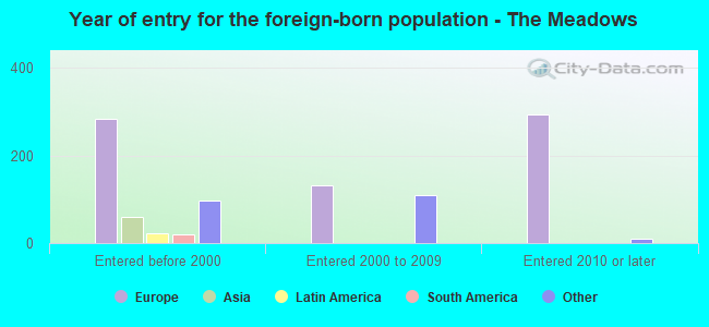 Year of entry for the foreign-born population - The Meadows