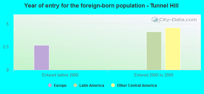 Year of entry for the foreign-born population - Tunnel Hill