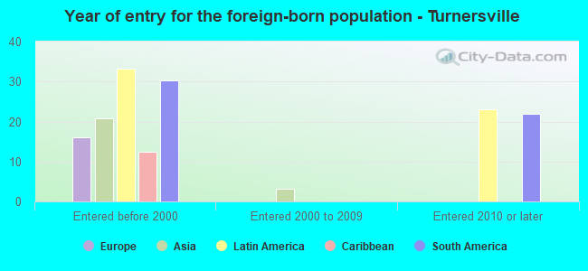 Year of entry for the foreign-born population - Turnersville