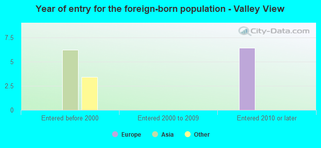 Year of entry for the foreign-born population - Valley View