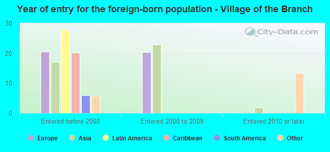 Year of entry for the foreign-born population - Village of the Branch