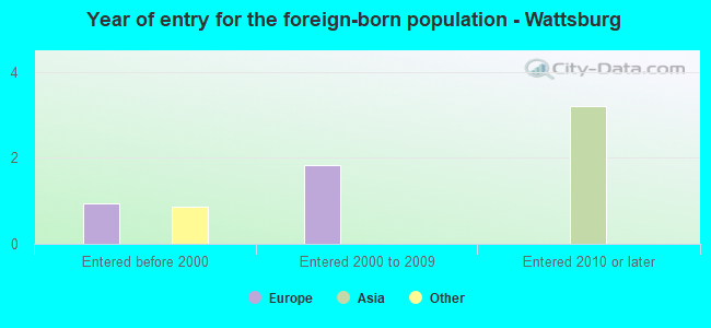 Year of entry for the foreign-born population - Wattsburg