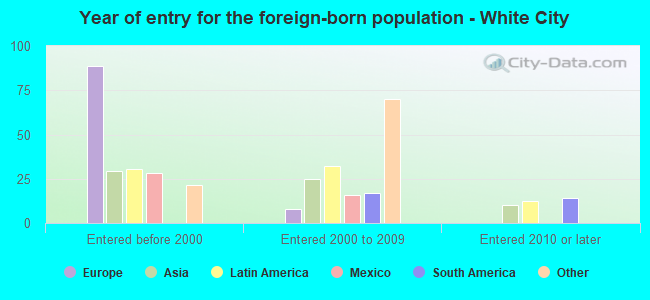Year of entry for the foreign-born population - White City
