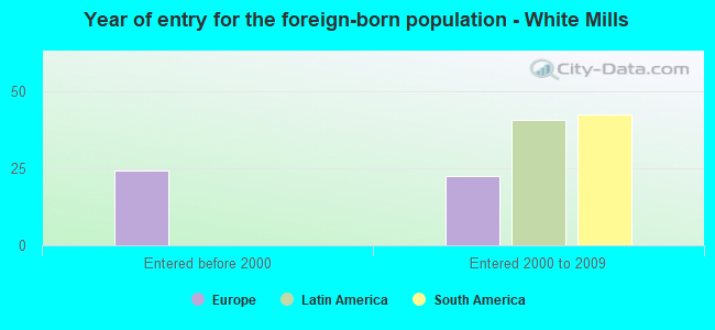 Year of entry for the foreign-born population - White Mills