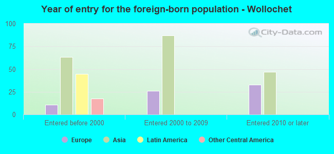 Year of entry for the foreign-born population - Wollochet