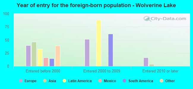 Year of entry for the foreign-born population - Wolverine Lake
