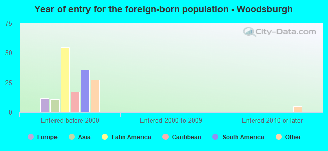 Year of entry for the foreign-born population - Woodsburgh