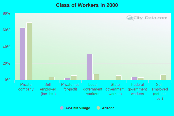 Class of Workers in 2000