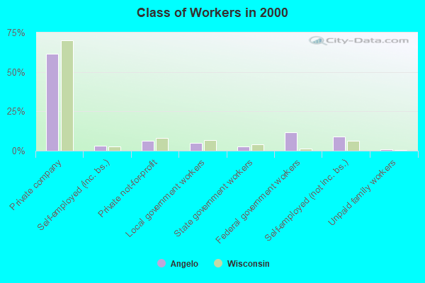 Class of Workers in 2000