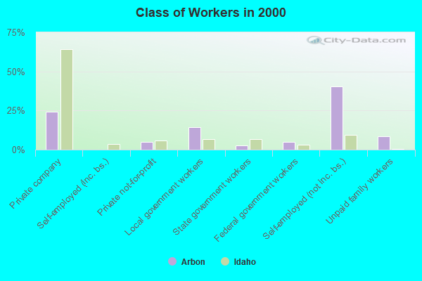 Class of Workers in 2000