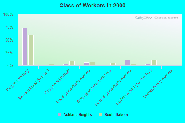 Class of Workers in 2000