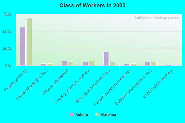 Class of Workers in 2000