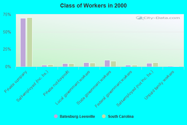 Class of Workers in 2000