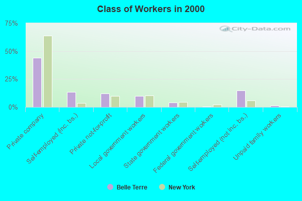 Class of Workers in 2000