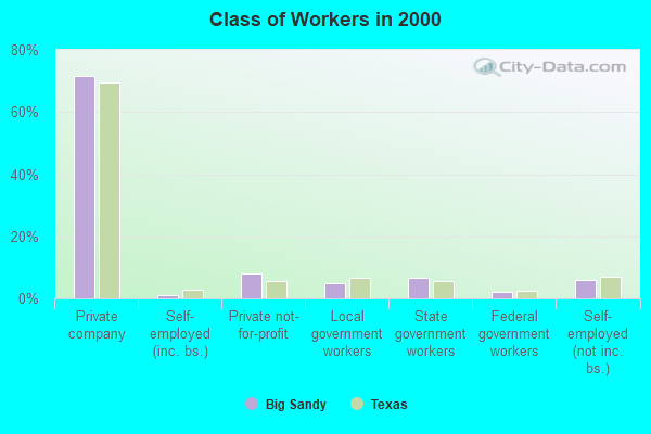 Class of Workers in 2000