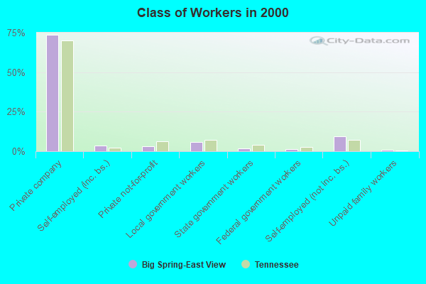 Class of Workers in 2000