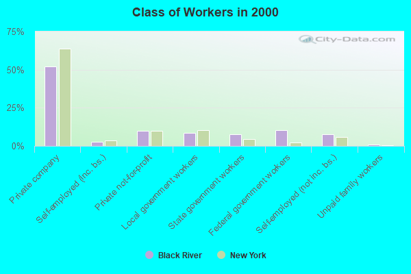 Class of Workers in 2000