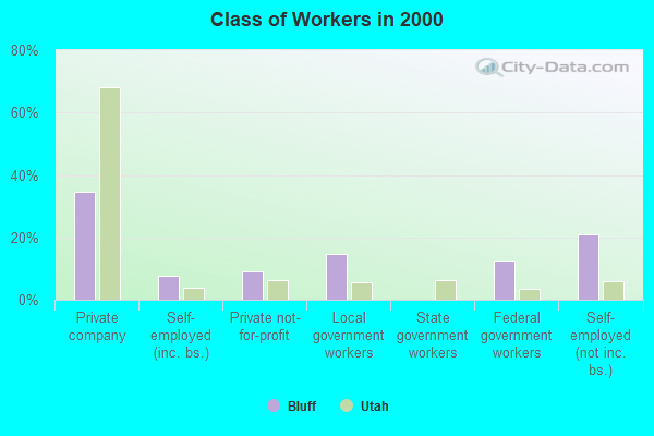 Class of Workers in 2000