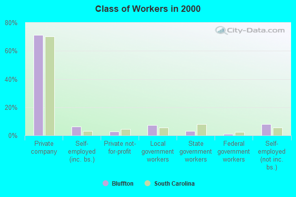 Class of Workers in 2000