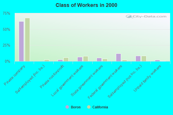 Class of Workers in 2000