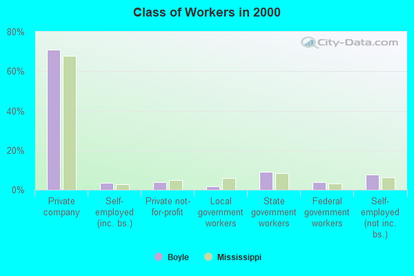 Class of Workers in 2000