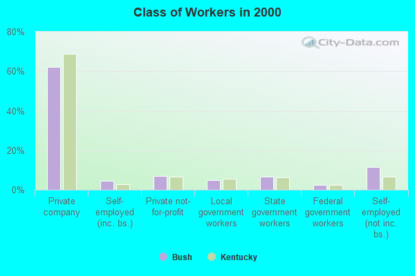 Class of Workers in 2000