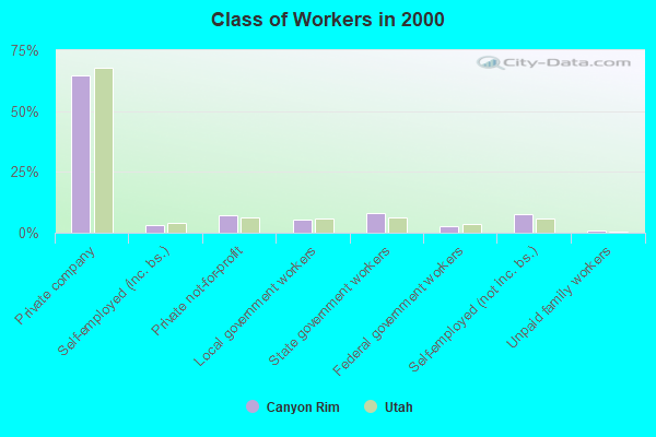 Class of Workers in 2000