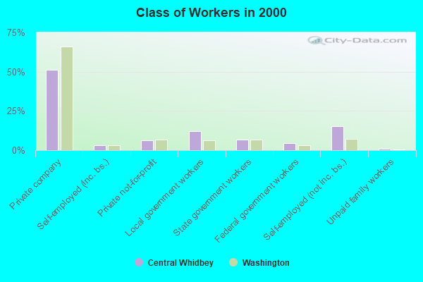 Class of Workers