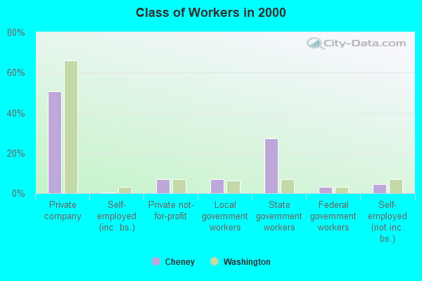 Class of Workers in 2000