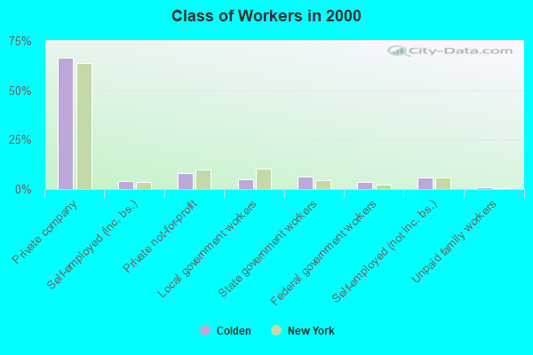 Class of Workers in 2000