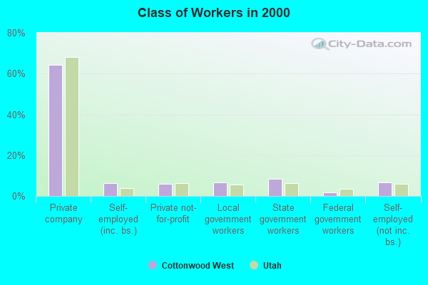 Class of Workers in 2000