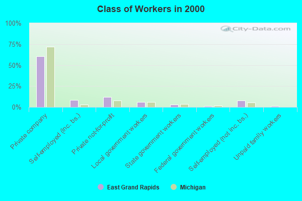 Class of Workers in 2000