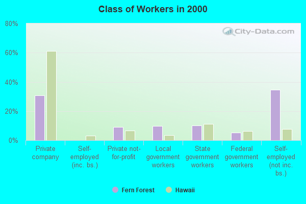 Class of Workers in 2000