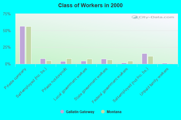 Class of Workers in 2000