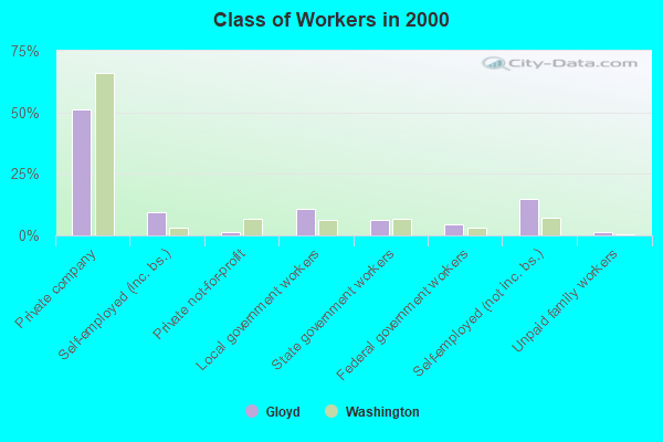 Class of Workers in 2000