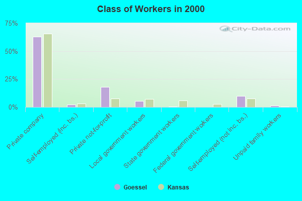 Class of Workers in 2000