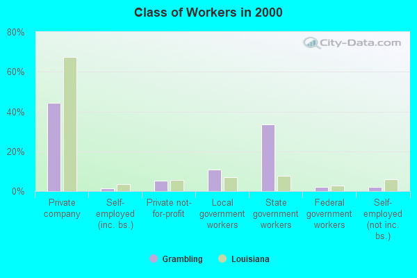 Class of Workers in 2000